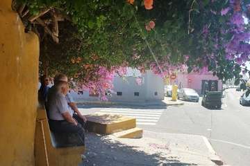 Parada sin buganvilla en Callejón del Castillo (Foto TA)